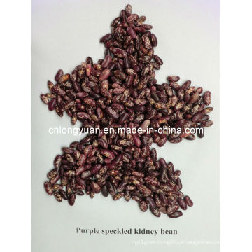 Chinesische purpurrote gesprenkelte Gartenbohnen